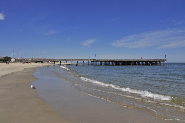 homes for sale in Hampton