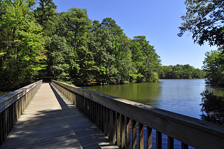 homes for sale in Newport News