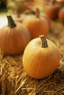 yorktown market days