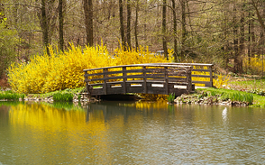Chickahominy River
