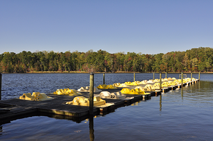 Newport News Park