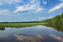 waterfront homes for sale