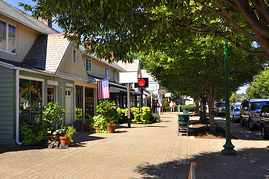 homes for sale in Newport News