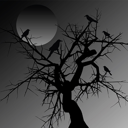 Williamsburg Ghost Tour