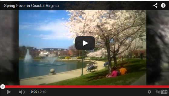 Spring in Coastal Virginia