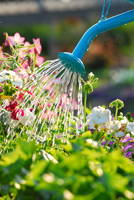 selling your home in the summer