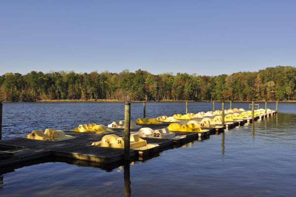 Newport News Park - One of the Largest Parks in America