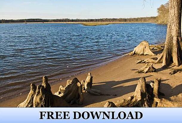 11 Things You Should Know Before You Buy Waterfront Property 11 Things You Should Know Before You Buy Waterfront Property