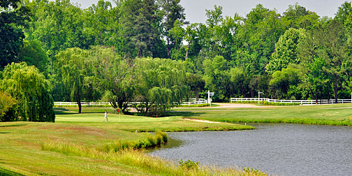 ford's colony homes for sale