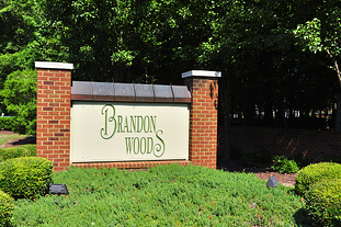 Brandon Woods