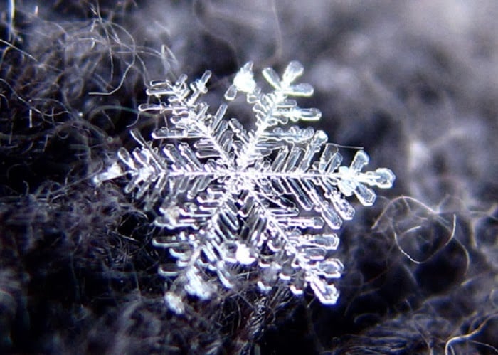 18 Perfect Snowflakes.jpg