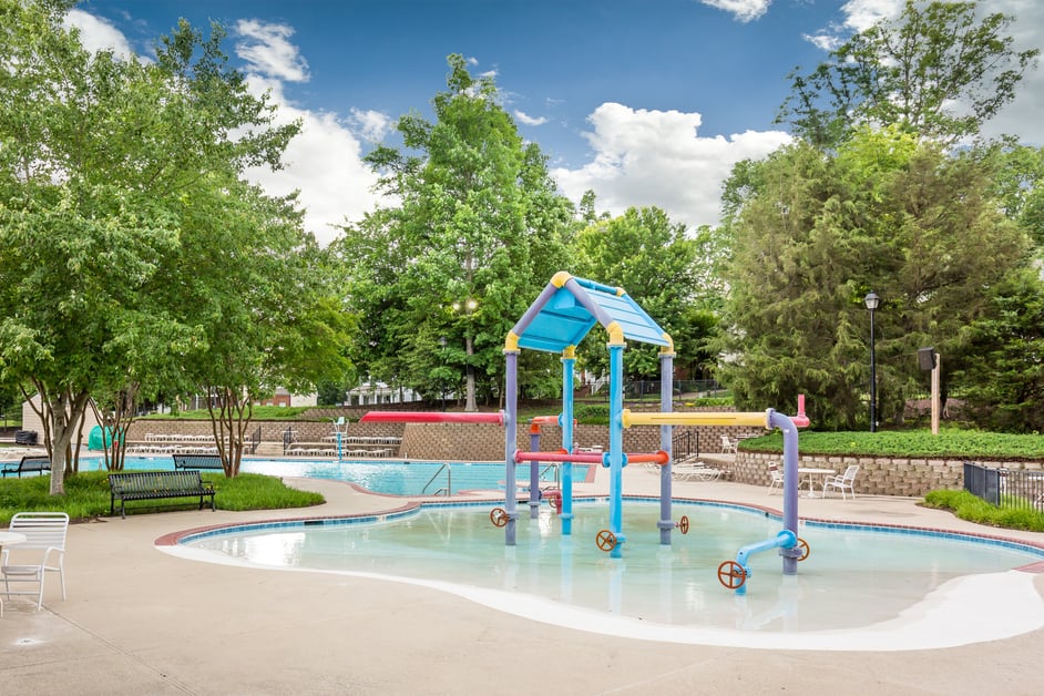 Neighborhood Spotlight Hampton Park, Chesterfield