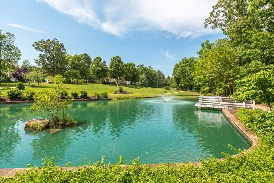 Neighborhood Spotlight Hampton Park, Chesterfield