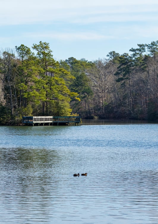 Noland Trail in Newport News Turns 30