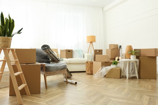 A room full of moving boxes