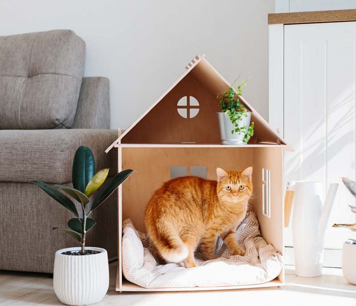Interior Design with Pets in Mind
